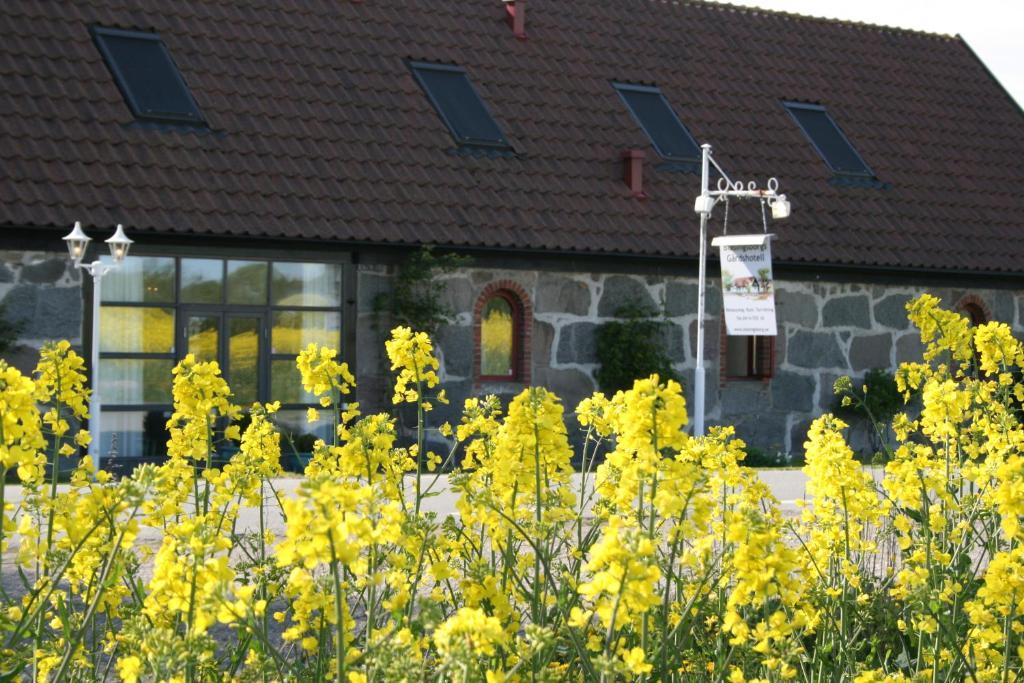Blasingsborgs Gardshotell Pa Oesterlen Чивик Екстериор снимка